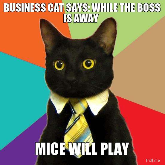 business-cat-says-while-the-boss-is-away-mice-will-play